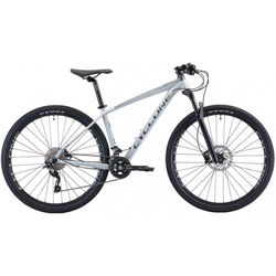Cyclone MMXX 29 2020 frame 17