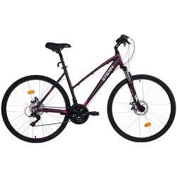 Stern Urban 2.0 Lady 28 2019 frame 50