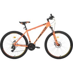 Stern Energy 2.0 Sport 2019 frame 16