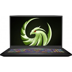 MSI Bravo 17 A4DDK (A4DDK-070XUA)