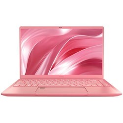 MSI Prestige 14 A10SC (P14 A10SC-256RU)