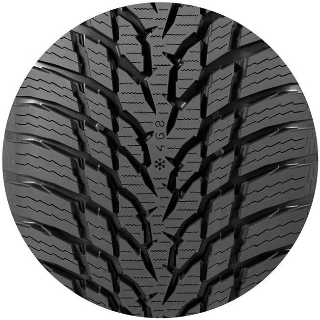 Nokian WR Snowproof 215/40 R17 87V