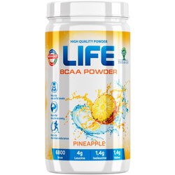 Tree of Life BCAA Powder 400 g