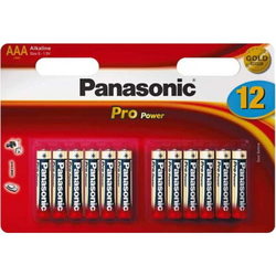 Panasonic Pro Power 12xAA