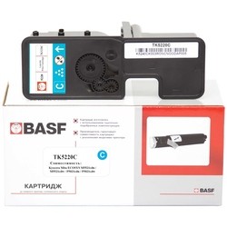 BASF KT-1T02R9CNL1