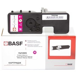 BASF KT-1T02R9BNL0