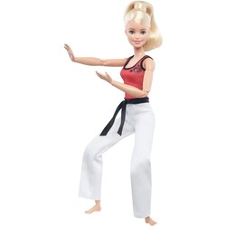 Barbie The Ultimate Posable Martial Artist DWN39