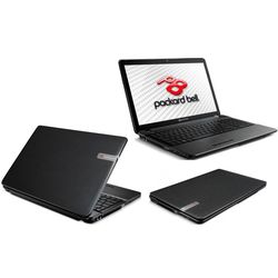 Packard Bell F4311-HR-523 LX.BX10C.001