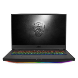 MSI GT76 Titan DT 10SGS (GT76 10SGS-023RU) (серый)