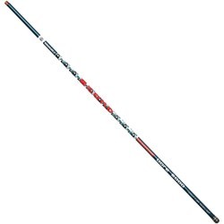 Brain Scout Pole 600