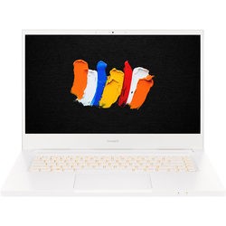 Acer ConceptD 3 CN315-72 (CN315-72-746N)