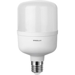 Ergolux LED-HW-50W-E40-6K