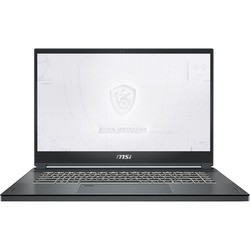 MSI WS66 10TK (WS66 10TK-293RU)