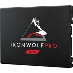 Seagate IronWolf Pro 125