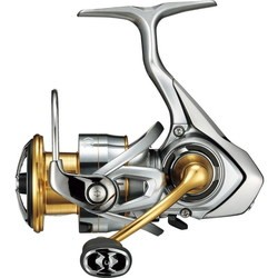 Daiwa Freams 21 FC LT 1000S