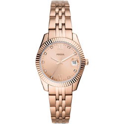 FOSSIL ES4898