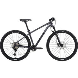 Merida Big.Nine XT2 2021 frame M