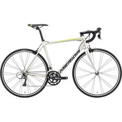 Merida Scultura Rim 100 2021 frame M/L