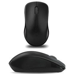 Rapoo Wireless Optical Mouse 1620