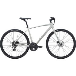 Giant Escape 2 Disc 2021 frame S