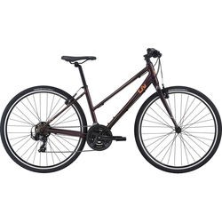 Giant Liv Alight 3 2021 frame L