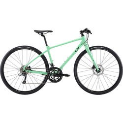 Giant Liv Thrive 3 2021 frame S