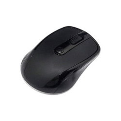 Minix L300