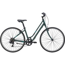 Giant Liv Flourish 4 2021 frame M