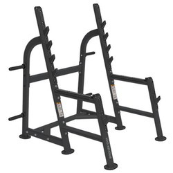 Bronze Gym BR-1015