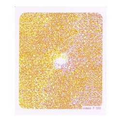 Cokin P 089 Warm Color Diffuser