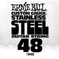 Ernie Ball Stainless Steel Single 48