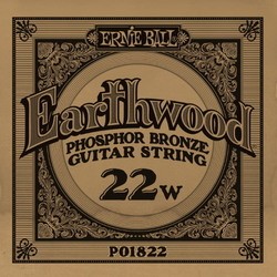 Ernie Ball Earthwood Phosphor Bronze Single 22