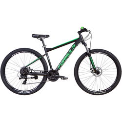 Formula F-1 DD 29 2021 frame 18.5