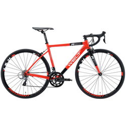 Welt R80 2021 frame 51