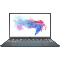 MSI P14 A10SC-033FR