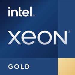 Intel Xeon Scalable Gold 3rd Gen