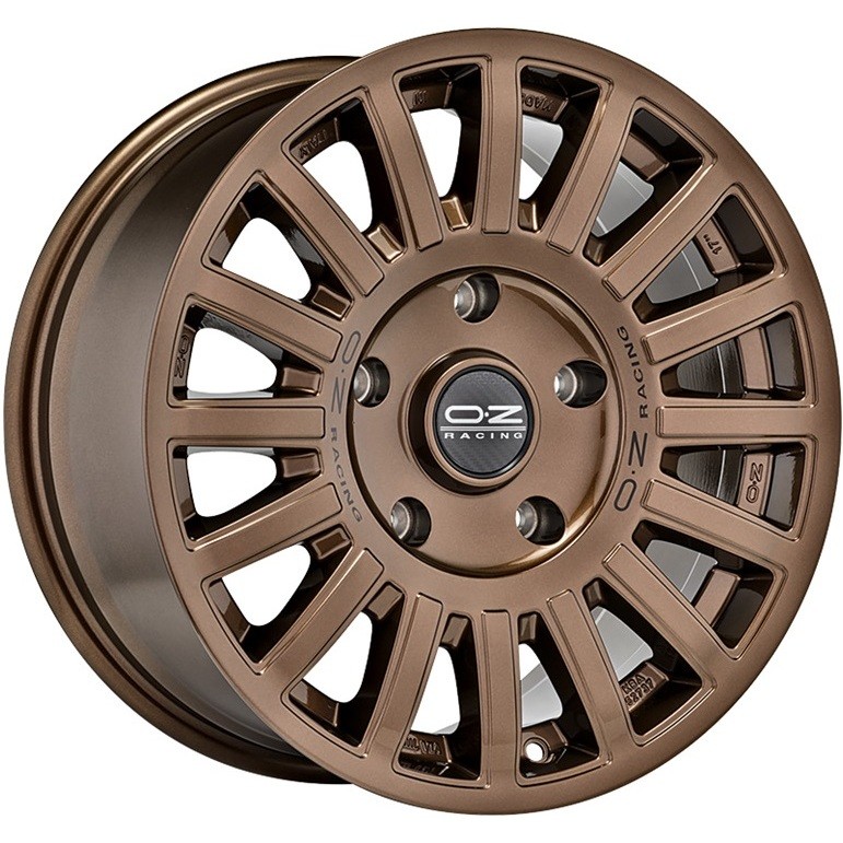 OZ Racing Rally Raid (8,5x18/6x114,3 ET40 DIA66,1)