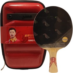 DHS Gold Medal Ma Long 01