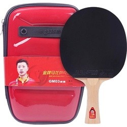 DHS Gold Medal Ma Long 03
