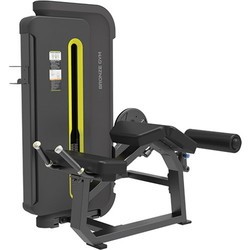 Bronze Gym BW-3001