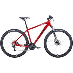 Forward Apache 29 2.0 Disc 2021 frame 17