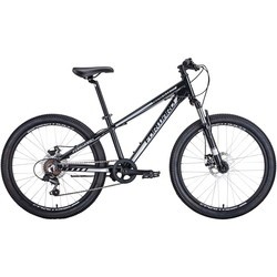 Forward Twister 24 2.0 Disc 2020