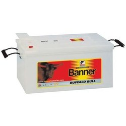 Banner Buffalo Bull (650 11)