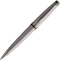 Waterman Expert DeLuxe Metallic Silver RT Ballpoint Pen