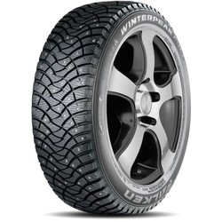 Falken WinterPeak F-Ice 1