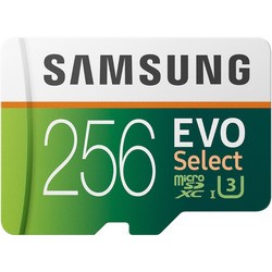 Samsung EVO Select microSDXC 256Gb