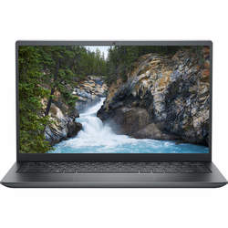 Dell Vostro 14 5415 (N501VN5415UAWP)