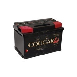 Cougar Bat (60)