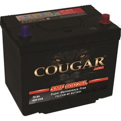 Cougar Asia (42B19L)