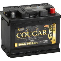 Cougar Power (6CT-100R)